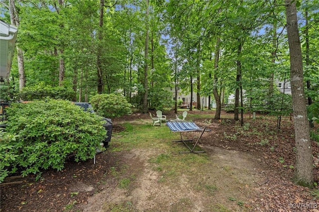 view of yard