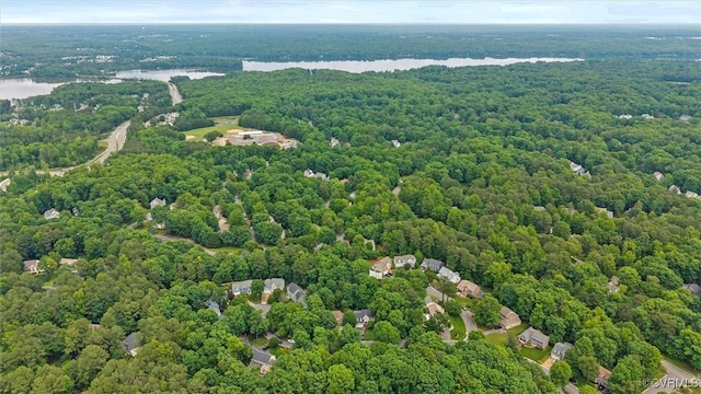 drone / aerial view of a forest and a large body of water