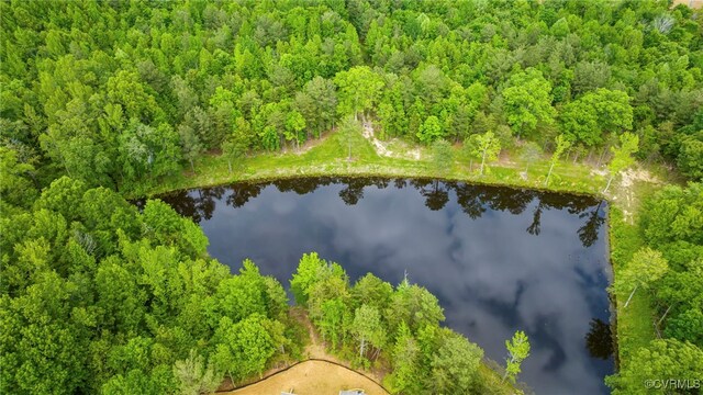 0 Rock Castle Rd, Goochland, VA 23063 - photo 5