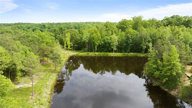 0 Rock Castle Rd, Goochland, VA 23063 - photo 6