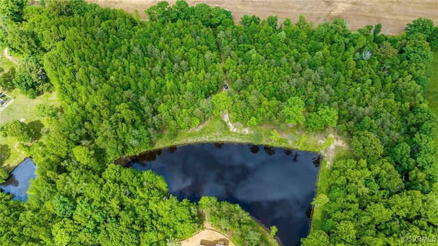 0 Rock Castle Rd, Goochland, VA 23063 - photo 4