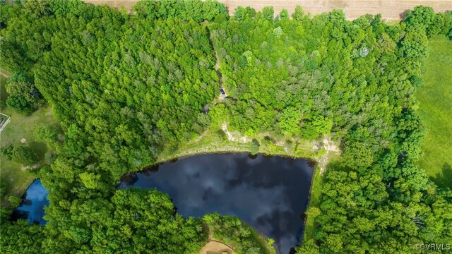 0 Rock Castle Rd, Goochland, VA 23063 - photo 7