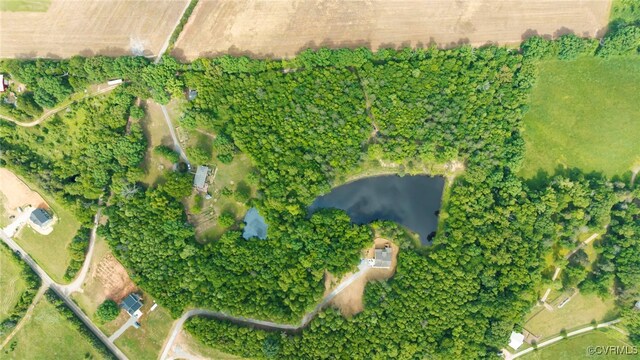0 Rock Castle Rd, Goochland, VA 23063 - photo 10