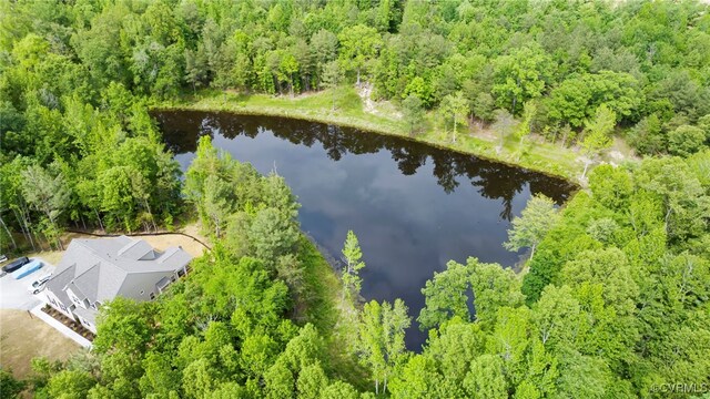 0 Rock Castle Rd, Goochland, VA 23063 - photo 13