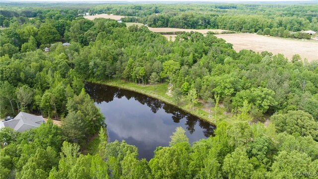 0 Rock Castle Rd, Goochland, VA 23063 - photo 15