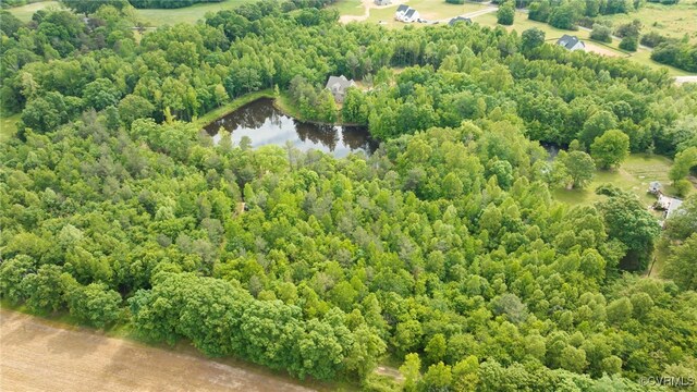 0 Rock Castle Rd, Goochland, VA 23063 - photo 16