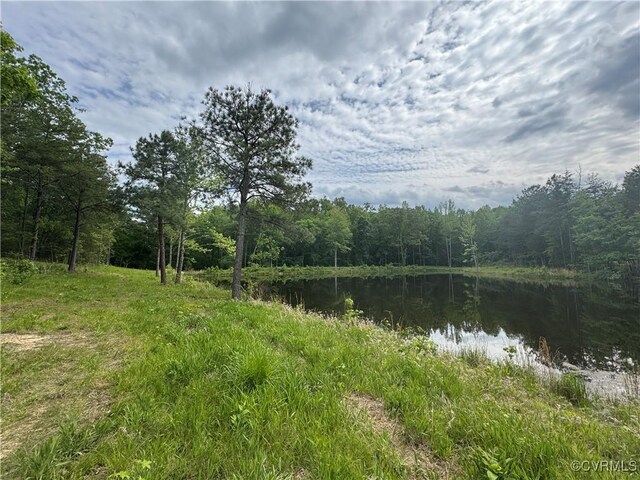 0 Rock Castle Rd, Goochland, VA 23063 - photo 18