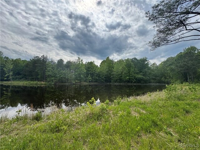 0 Rock Castle Rd, Goochland, VA 23063 - photo 19