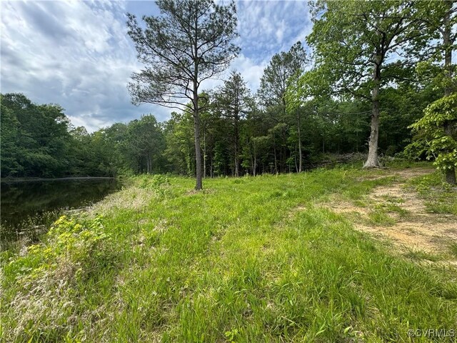 0 Rock Castle Rd, Goochland, VA 23063 - photo 20