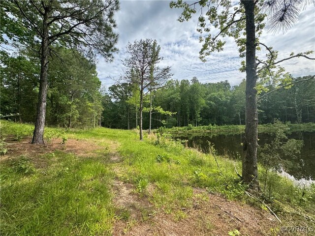 0 Rock Castle Rd, Goochland, VA 23063 - photo 21