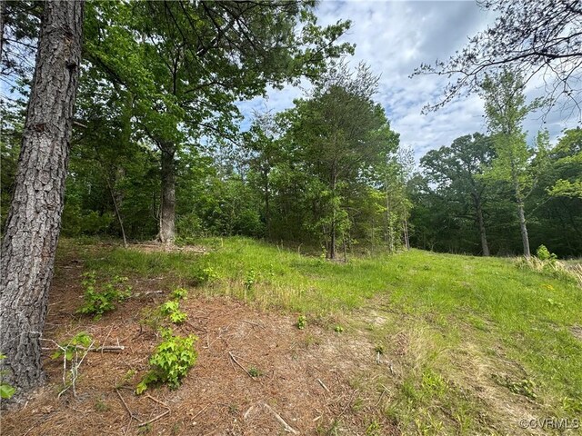 0 Rock Castle Rd, Goochland, VA 23063 - photo 22