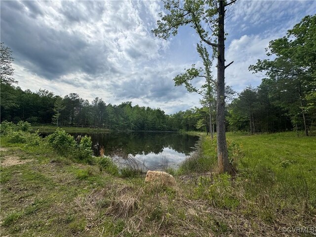 0 Rock Castle Rd, Goochland, VA 23063 - photo 23