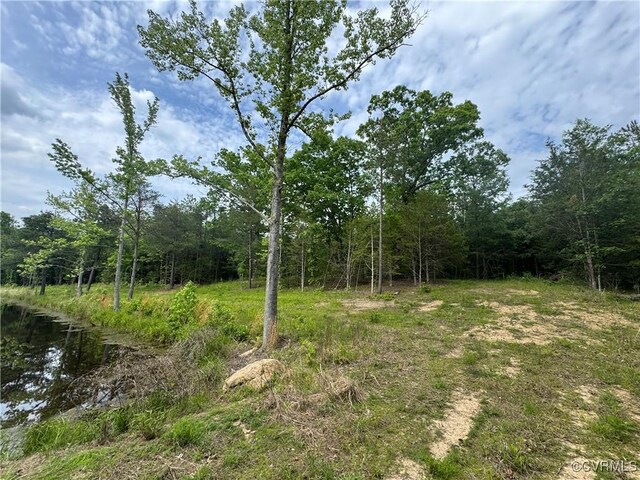 0 Rock Castle Rd, Goochland, VA 23063 - photo 24