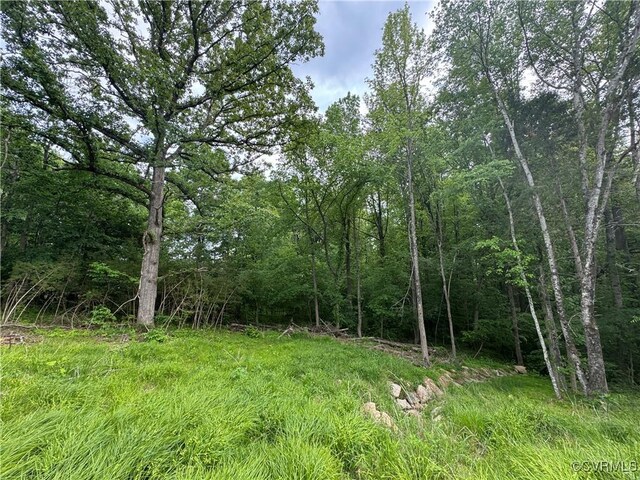 0 Rock Castle Rd, Goochland, VA 23063 - photo 25