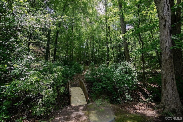 11400 Long Meadow Dr, Glen Allen, VA 23059 - photo 50