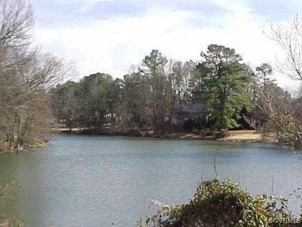 water view with a heavily wooded area