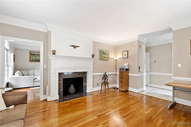 11458 Barrington Bridge Ct, Henrico, VA 23233 - living area with light wood finished floors, a high end fireplace, ornamental molding, and baseboards