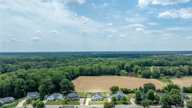 aerial view of residential area with a forest