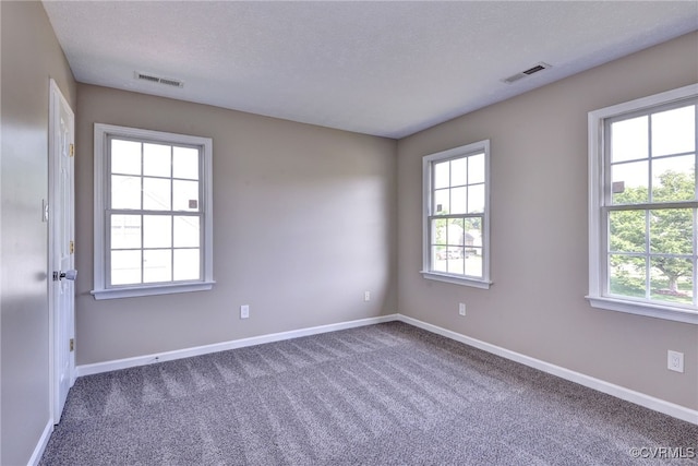 empty room with plenty of natural light, baseboards, carpet floors, and a textured ceiling