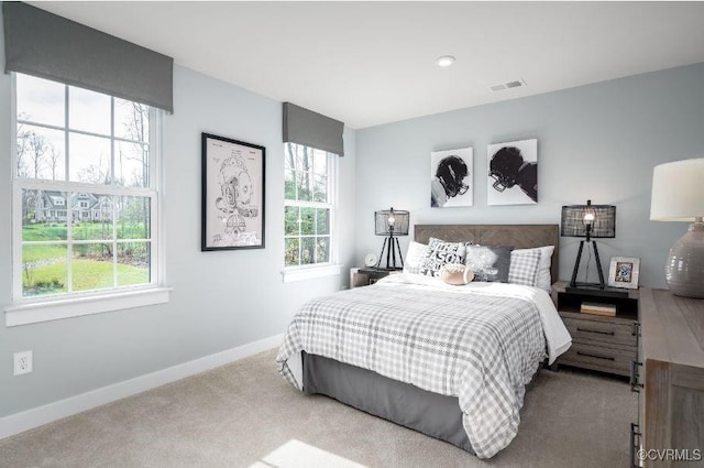 9 Abercrombie Dr, Chesterfield, VA 23838 - carpeted bedroom with multiple windows and baseboards