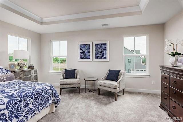 12 Abercrombie Dr, Chesterfield, VA 23838 - carpeted bedroom with multiple windows, a raised ceiling, and baseboards