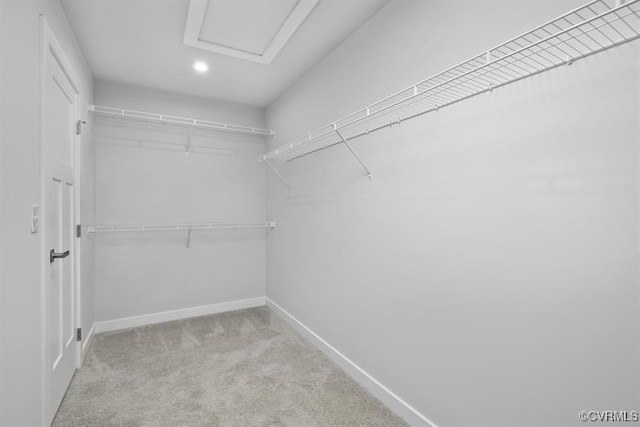 13 Abercrombie Dr, Chesterfield, VA 23838 - spacious closet featuring carpet flooring and attic access