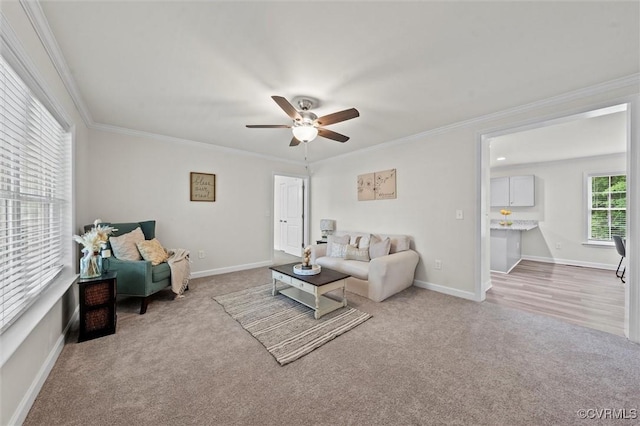 7570 Mount Zion Rd, Jetersville, VA 23083 - living area with carpet, a ceiling fan, ornamental molding, and baseboards