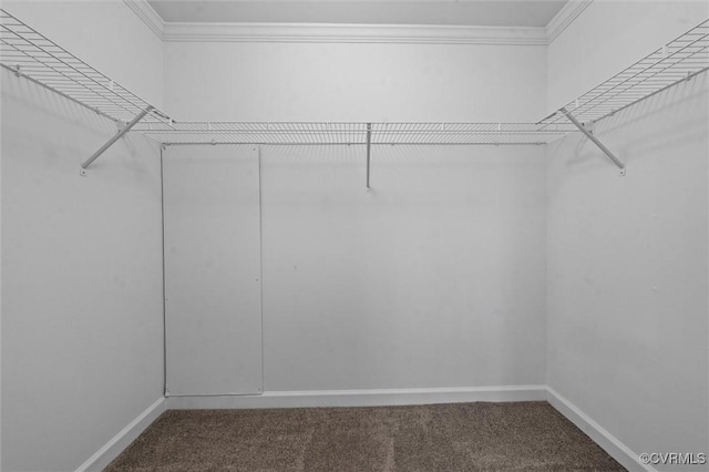 7570 Mount Zion Rd, Jetersville, VA 23083 - walk in closet featuring carpet flooring