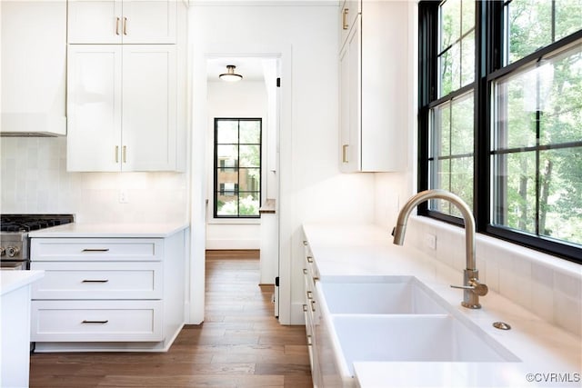 kitchen featuring a sink, white cabinets, tasteful backsplash, light countertops, and wood finished floors