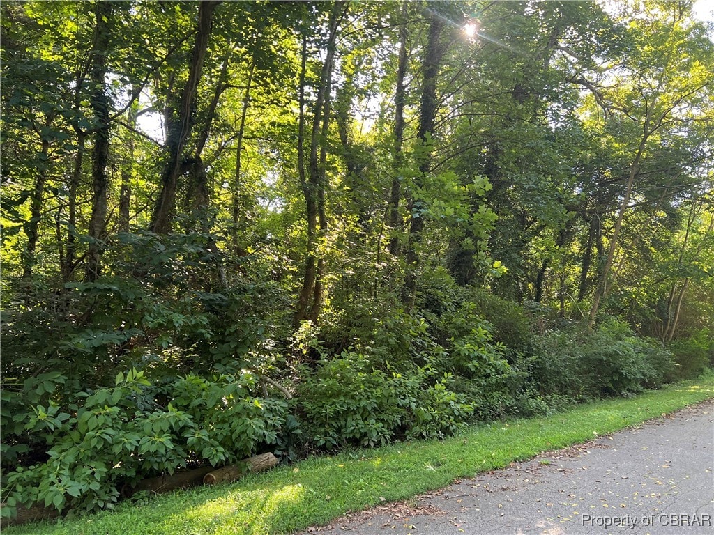000 Orchard Cove Rd, Locust Hill, VA 23092 - photo 1