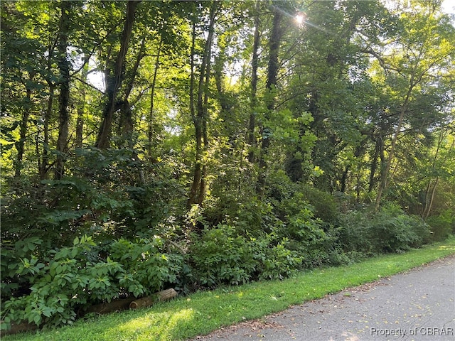 000 Orchard Cove Rd, Locust Hill VA, 23092 land for sale