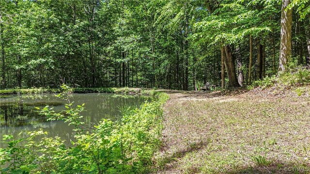 9161 Pamunkey River Farms Dr, Mechanicsville, VA 23111 - photo 10