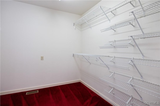 view of walk in closet