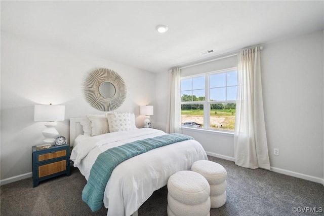 7006 Sanguine Mews, Chesterfield, VA 23234 - carpeted bedroom featuring baseboards