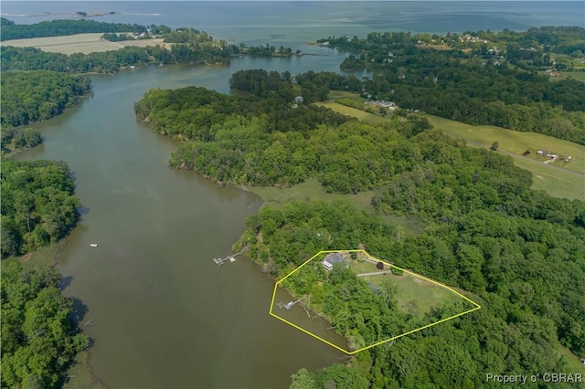 319 Parrotts Cove Rd, Water View, VA 23180 - aerial overview of property's location featuring a large body of water, property parcel outlined, and a heavily wooded area