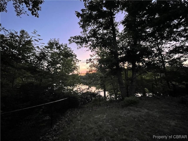 319 Parrotts Cove Rd, Water View, VA 23180 - view of yard