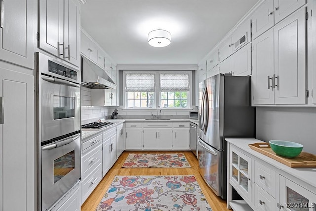 204 College Ave, Ashland, VA 23005 - kitchen with appliances with stainless steel finishes, under cabinet range hood, light countertops, and light wood-type flooring