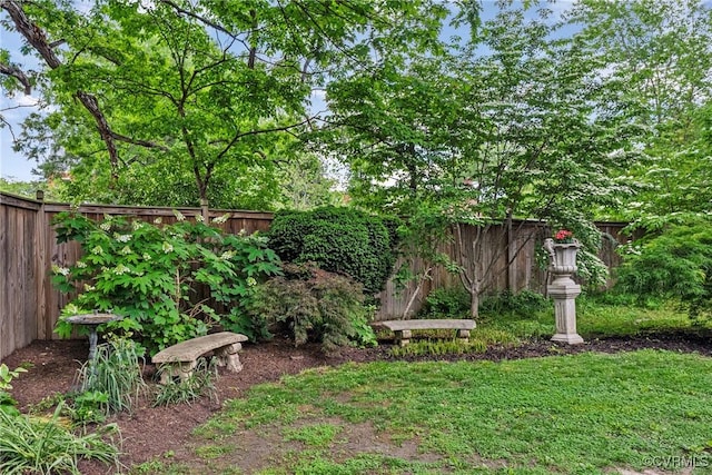 204 College Ave, Ashland, VA 23005 - view of fenced backyard
