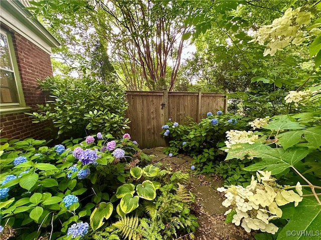 204 College Ave, Ashland, VA 23005 - view of yard