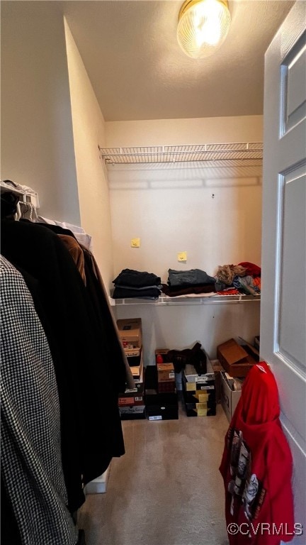 7211 Norwood Pond Ct, Midlothian, VA 23112 - walk in closet featuring carpet