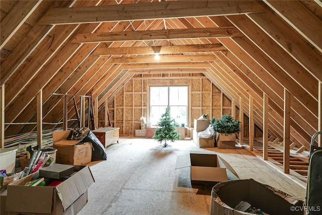 8 Nomas Ln, Henrico, VA 23238 - view of unfinished attic
