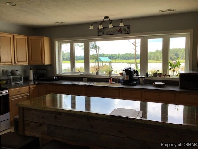 2577 Red Bank Rd, Ark, VA 23061 - kitchen with a sink and dark countertops