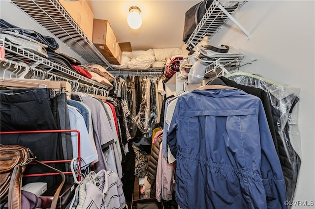 2707 Quisenberry St, Midlothian, VA 23112 - view of walk in closet