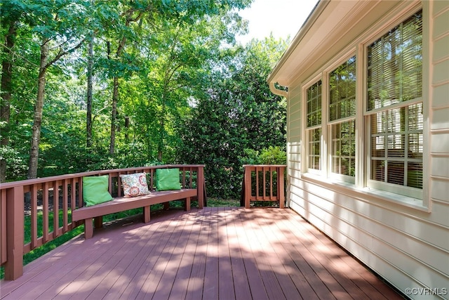 9905 Carrington Pl, Henrico, VA 23238 - view of deck