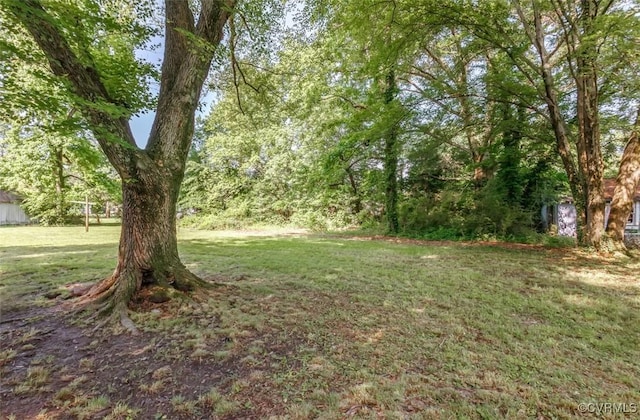 908 Rosemont Rd, Richmond, VA 23224 - view of green lawn