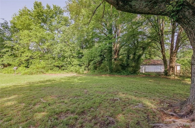 908 Rosemont Rd, Richmond, VA 23224 - view of green lawn
