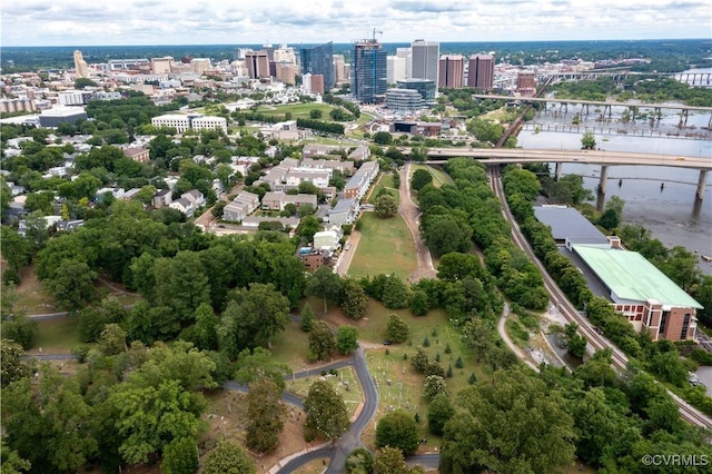 816 Riverside Park, Richmond, VA 23220 - view of urban area with a tree filled landscape
