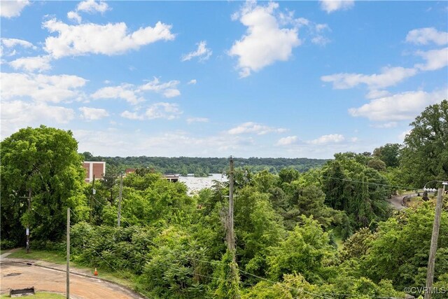 816 Riverside Park, Richmond, VA 23220 - surrounding community with a wooded view