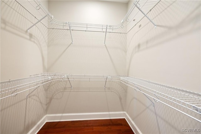 816 Riverside Park, Richmond, VA 23220 - spacious closet with dark wood finished floors