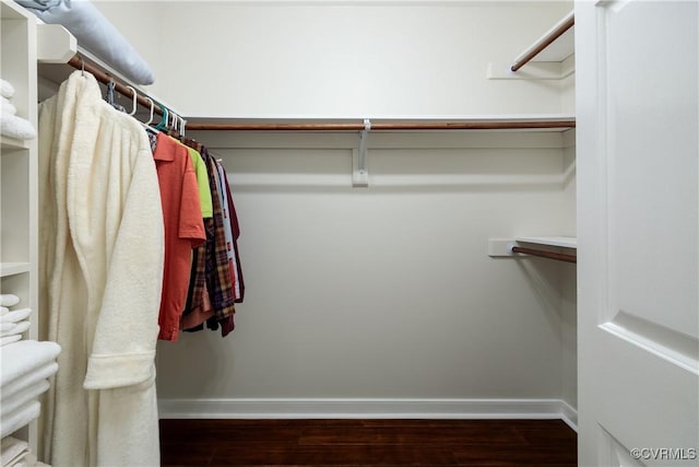 10910 Lesser Scaup Lndg, Chesterfield, VA 23838 - spacious closet with wood finished floors